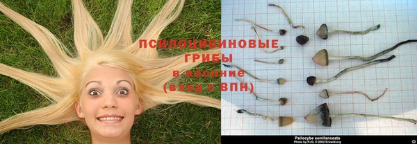 альфа пвп VHQ Каменка