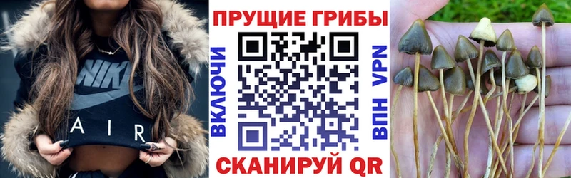 Псилоцибиновые грибы мицелий Междуреченск