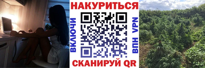 Конопля марихуана сколько стоит Междуреченск